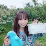 ヒメ日記 2026/07/28 10:14 投稿 はるか 花火-hanabi-(すすきの)