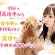 ヒメ日記 2026/08/22 01:53 投稿 はるか 花火-hanabi-(すすきの)