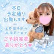 ヒメ日記 2026/08/23 06:33 投稿 はるか 花火-hanabi-(すすきの)