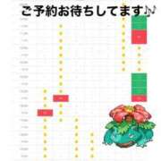 ヒメ日記 2026/08/25 19:16 投稿 はるか 花火-hanabi-(すすきの)