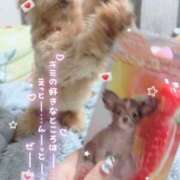 ヒメ日記 2026/09/29 18:53 投稿 はるか 花火-hanabi-(すすきの)