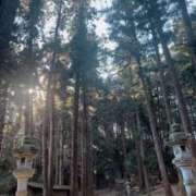 ヒメ日記 2025/01/03 16:53 投稿 東雲ひとみ THE痴漢電車.com