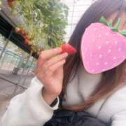 ヒメ日記 2025/03/10 10:03 投稿 東雲ひとみ THE痴漢電車.com