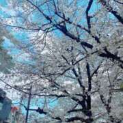 ヒメ日記 2025/04/06 19:33 投稿 東雲ひとみ THE痴漢電車.com