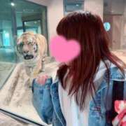 ヒメ日記 2025/04/14 19:30 投稿 東雲ひとみ THE痴漢電車.com