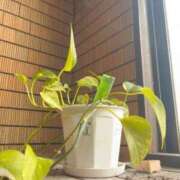 ヒメ日記 2025/05/04 12:06 投稿 東雲ひとみ THE痴漢電車.com