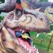 ヒメ日記 2025/05/20 15:23 投稿 東雲ひとみ THE痴漢電車.com