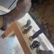 ヒメ日記 2025/09/24 13:43 投稿 東雲ひとみ THE痴漢電車.com