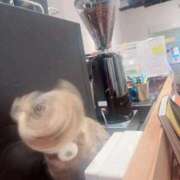 ヒメ日記 2025/11/07 14:56 投稿 東雲ひとみ THE痴漢電車.com