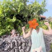 ヒメ日記 2025/11/26 09:58 投稿 東雲ひとみ THE痴漢電車.com