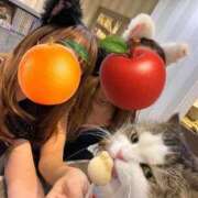 ヒメ日記 2025/12/10 10:13 投稿 東雲ひとみ THE痴漢電車.com