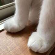 ヒメ日記 2026/02/22 10:15 投稿 東雲ひとみ THE痴漢電車.com