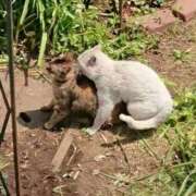 ヒメ日記 2026/03/28 10:38 投稿 東雲ひとみ THE痴漢電車.com