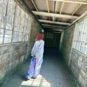 ヒメ日記 2026/03/29 10:26 投稿 東雲ひとみ THE痴漢電車.com