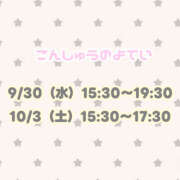 ヒメ日記 2026/09/29 20:01 投稿 りん 秋葉原ハンドメイド