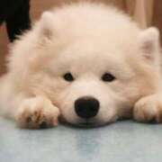 ヒメ日記 2024/12/30 13:22 投稿 斎藤ひとみ 全裸美女からのカゲキな誘惑