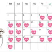 ヒメ日記 2025/02/26 02:52 投稿 斎藤ひとみ 全裸美女からのカゲキな誘惑