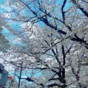 ヒメ日記 2025/04/06 19:22 投稿 斎藤ひとみ 全裸美女からのカゲキな誘惑