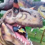 ヒメ日記 2025/05/20 15:22 投稿 斎藤ひとみ 全裸美女からのカゲキな誘惑