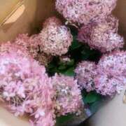 ヒメ日記 2025/06/03 23:32 投稿 斎藤ひとみ 全裸美女からのカゲキな誘惑