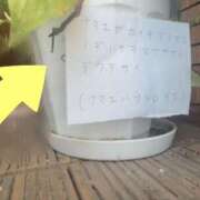 ヒメ日記 2025/08/20 06:42 投稿 斎藤ひとみ 全裸美女からのカゲキな誘惑