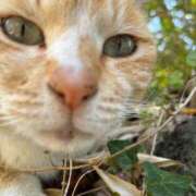 ヒメ日記 2025/08/23 10:21 投稿 斎藤ひとみ 全裸美女からのカゲキな誘惑