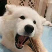 ヒメ日記 2025/08/31 09:42 投稿 斎藤ひとみ 全裸美女からのカゲキな誘惑