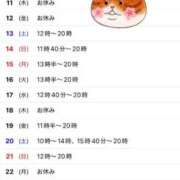 ヒメ日記 2025/09/09 05:22 投稿 斎藤ひとみ 全裸美女からのカゲキな誘惑