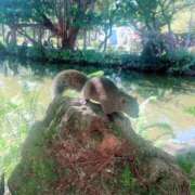 ヒメ日記 2025/11/07 15:02 投稿 斎藤ひとみ 全裸美女からのカゲキな誘惑