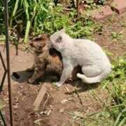 ヒメ日記 2026/03/28 10:18 投稿 斎藤ひとみ 全裸美女からのカゲキな誘惑