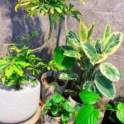 ヒメ日記 2026/04/07 11:28 投稿 斎藤ひとみ 全裸美女からのカゲキな誘惑