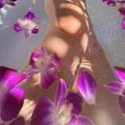 ヒメ日記 2024/12/07 10:44 投稿 しほ 仙南 愛ランド（白石、柴田、岩沼、名取）