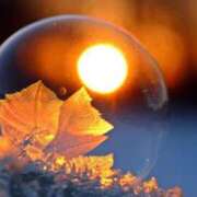 ヒメ日記 2025/01/10 15:04 投稿 しほ 仙南 愛ランド（白石、柴田、岩沼、名取）