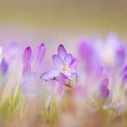 ヒメ日記 2025/02/28 15:24 投稿 しほ 仙南 愛ランド（白石、柴田、岩沼、名取）