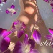 ヒメ日記 2025/03/09 10:24 投稿 しほ 仙南 愛ランド（白石、柴田、岩沼、名取）