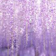 ヒメ日記 2025/05/03 10:24 投稿 しほ 仙南 愛ランド（白石、柴田、岩沼、名取）