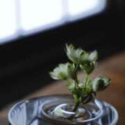 ヒメ日記 2025/05/16 16:54 投稿 しほ 仙南 愛ランド（白石、柴田、岩沼、名取）