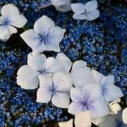 ヒメ日記 2025/05/30 15:34 投稿 しほ 仙南 愛ランド（白石、柴田、岩沼、名取）