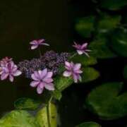 ヒメ日記 2025/06/06 16:54 投稿 しほ 仙南 愛ランド（白石、柴田、岩沼、名取）