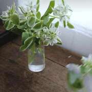 ヒメ日記 2025/06/28 10:44 投稿 しほ 仙南 愛ランド（白石、柴田、岩沼、名取）