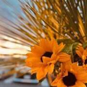 ヒメ日記 2025/07/01 10:44 投稿 しほ 仙南 愛ランド（白石、柴田、岩沼、名取）