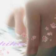 ヒメ日記 2025/07/25 15:44 投稿 しほ 仙南 愛ランド（白石、柴田、岩沼、名取）