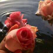 ヒメ日記 2025/08/01 15:14 投稿 しほ 仙南 愛ランド（白石、柴田、岩沼、名取）