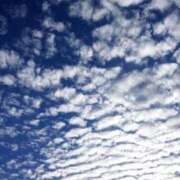 ヒメ日記 2025/08/29 15:24 投稿 しほ 仙南 愛ランド（白石、柴田、岩沼、名取）