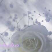 ヒメ日記 2025/09/03 09:24 投稿 しほ 仙南 愛ランド（白石、柴田、岩沼、名取）