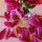 ヒメ日記 2025/09/19 17:14 投稿 しほ 仙南 愛ランド（白石、柴田、岩沼、名取）