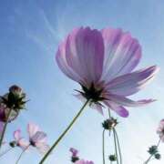 ヒメ日記 2025/10/18 10:34 投稿 しほ 仙南 愛ランド（白石、柴田、岩沼、名取）