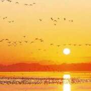 ヒメ日記 2025/11/05 11:34 投稿 しほ 仙南 愛ランド（白石、柴田、岩沼、名取）