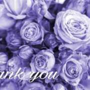 ヒメ日記 2025/12/31 20:14 投稿 しほ 仙南 愛ランド（白石、柴田、岩沼、名取）