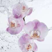 ヒメ日記 2026/01/30 15:34 投稿 しほ 仙南 愛ランド（白石、柴田、岩沼、名取）